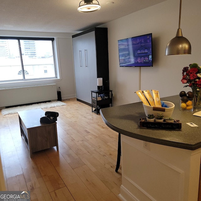 living room with radiator and light hardwood / wood-style floors