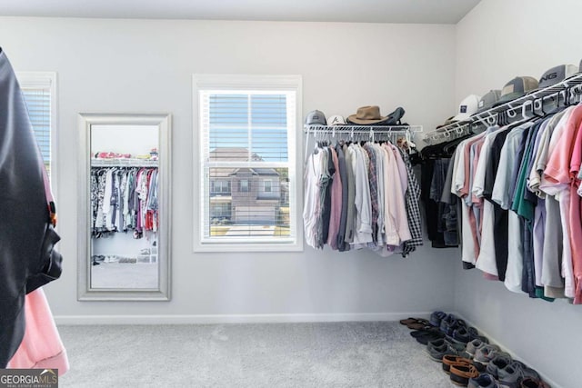 walk in closet featuring carpet floors