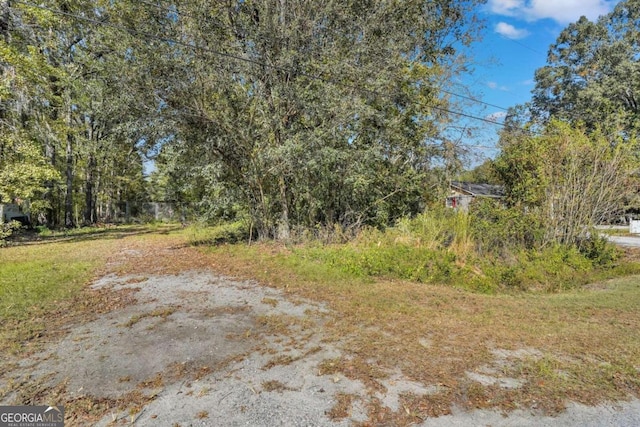 000 Big Hill Rd, Savannah GA, 31408 land for sale