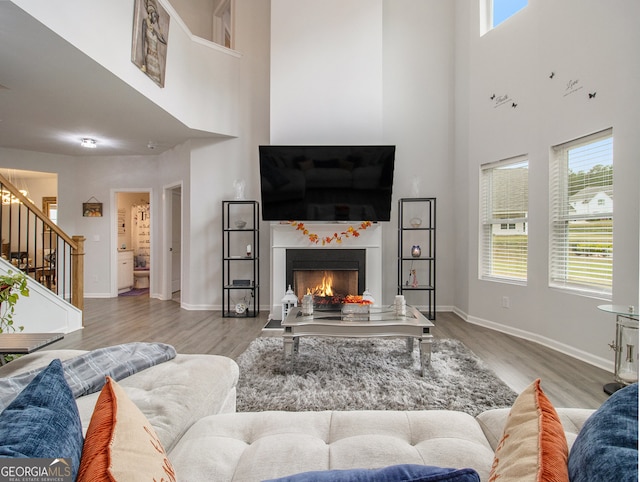 living room featuring a towering ceiling and light hardwood / wood-style flooring