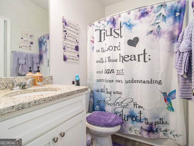 bathroom featuring vanity, hardwood / wood-style flooring, and toilet