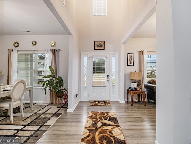 foyer entrance with a wealth of natural light and hardwood / wood-style flooring