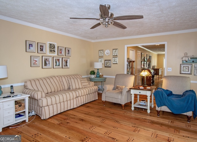 living room featuring light hardwood / wood-style floors, ornamental molding, and a textured ceiling