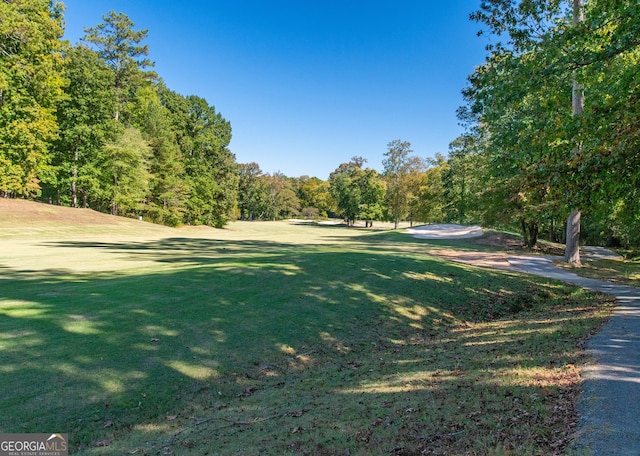 7 Stonehaven Dr, Newnan, GA 30265 - view of green lawn featuring a view of trees