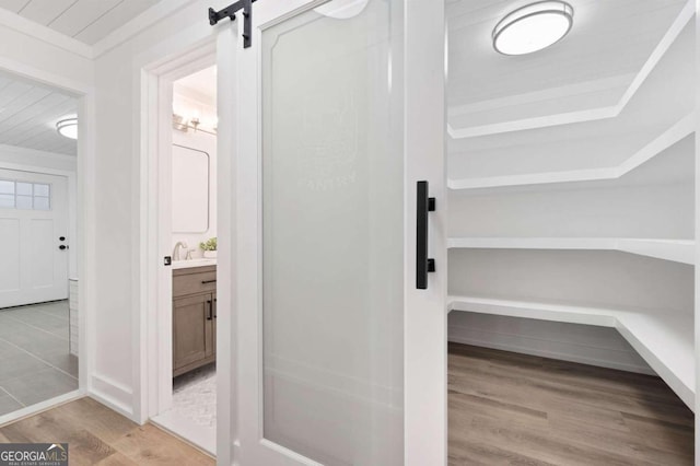 bathroom featuring wood finished floors and vanity