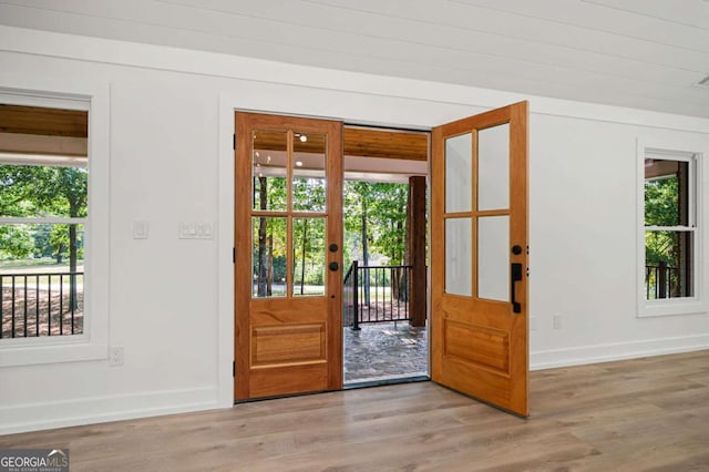 doorway featuring wood finished floors, plenty of natural light, and baseboards