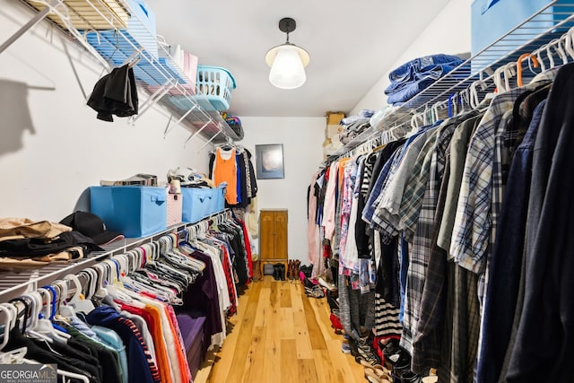 spacious closet with hardwood / wood-style flooring