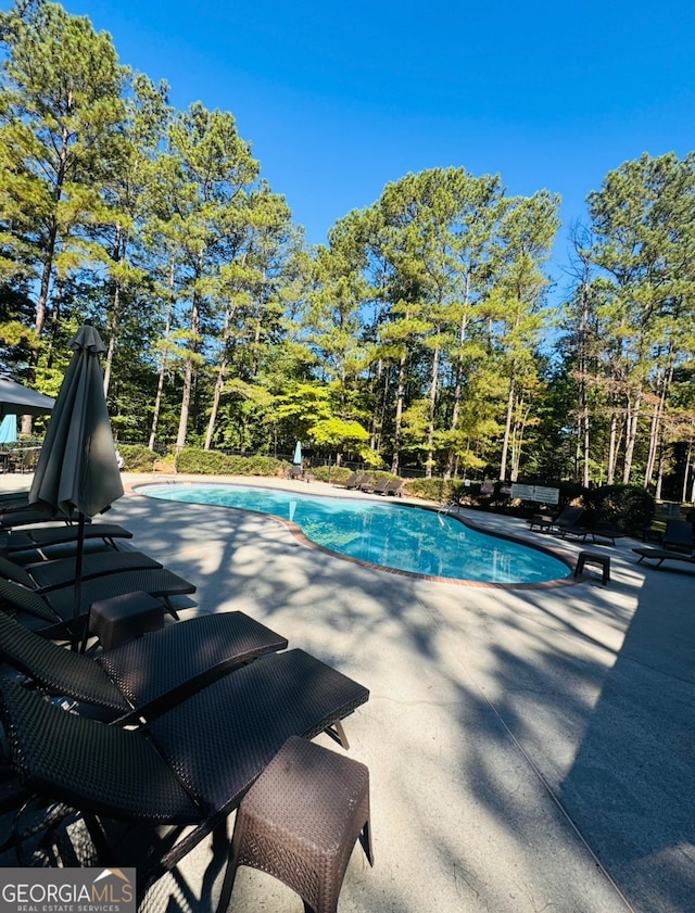 view of pool featuring a patio area