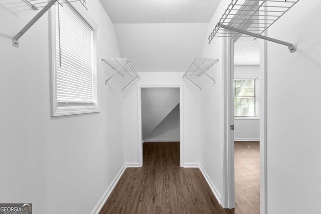 spacious closet with dark wood-type flooring