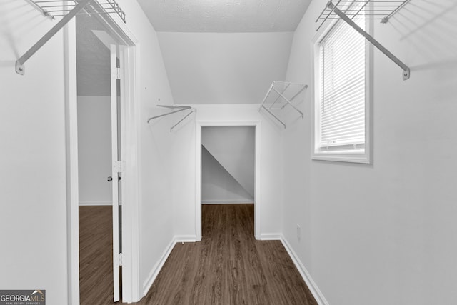 spacious closet with dark wood-type flooring and lofted ceiling