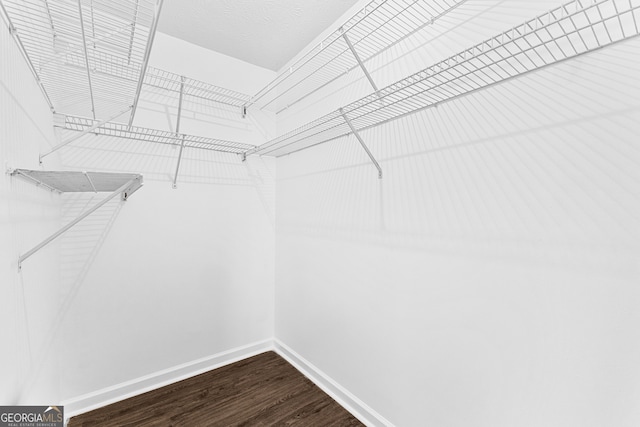 spacious closet featuring hardwood / wood-style floors