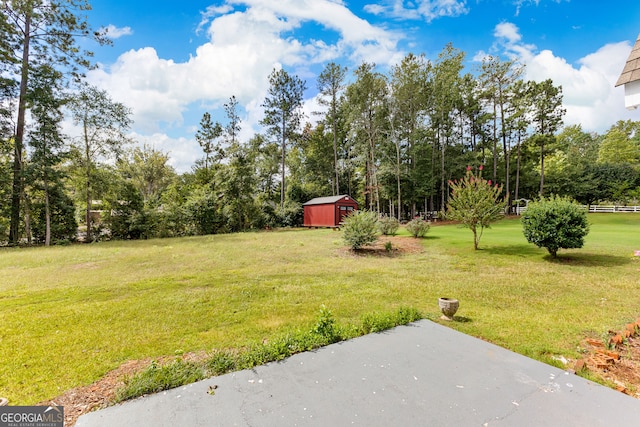 view of yard with a storage shed