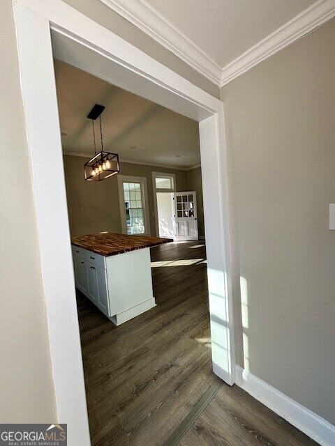 17843 Main St, Woodbury, GA 30293 - kitchen with wooden counters, ornamental molding, pendant lighting, white cabinets, and dark hardwood / wood-style flooring