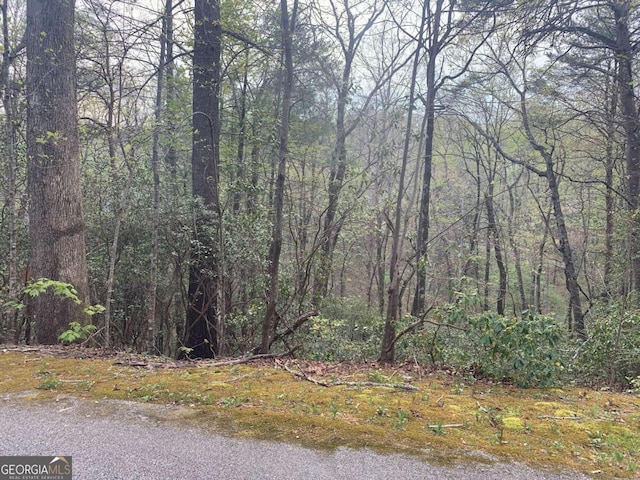 TRB St Andrews Court Tr B, Clayton GA, 30525 land for sale