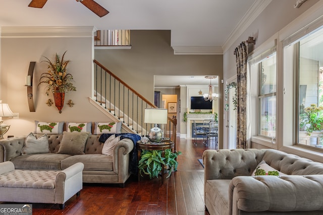 living room with ornamental molding, an inviting chandelier, and dark hardwood / wood-style flooring