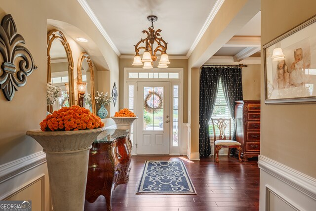 foyer entrance with crown molding, a notable chandelier, dark hardwood / wood-style flooring, and plenty of natural light