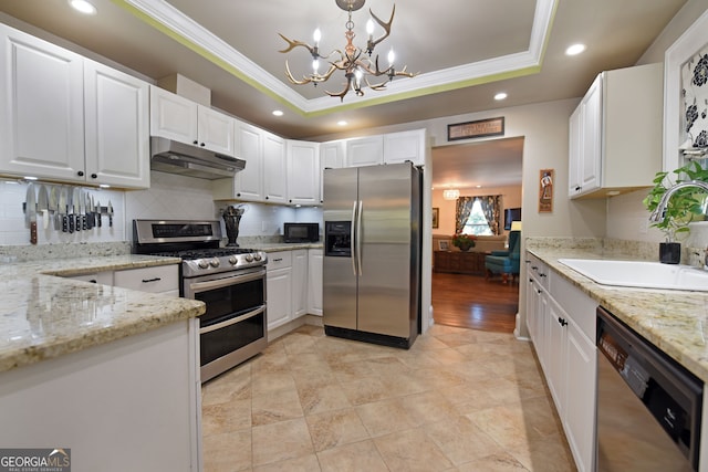 kitchen featuring white cabinets, light stone countertops, stainless steel appliances, and a tray ceiling