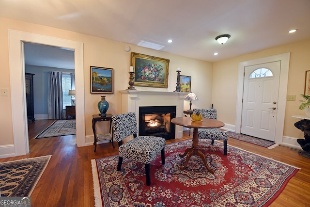 living area featuring dark wood-type flooring