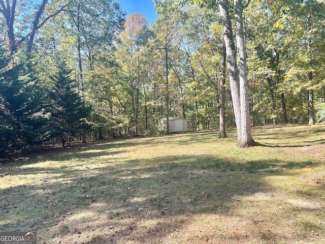 view of yard featuring a shed