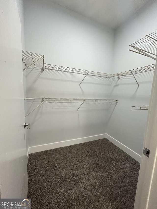 walk in closet featuring carpet