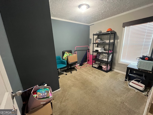 office area with a textured ceiling, carpet floors, and ornamental molding