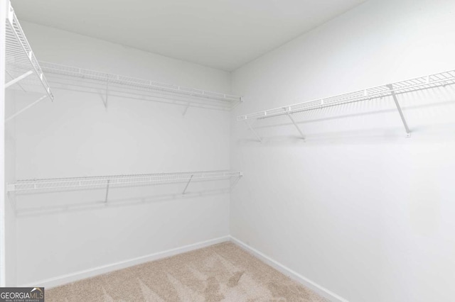 walk in closet with carpet flooring