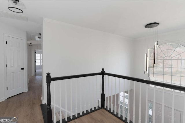 corridor with hardwood / wood-style floors, crown molding, and plenty of natural light