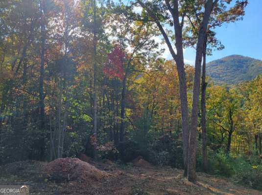 LOT74 Mine Cart Trl, Blairsville GA, 30512 land for sale