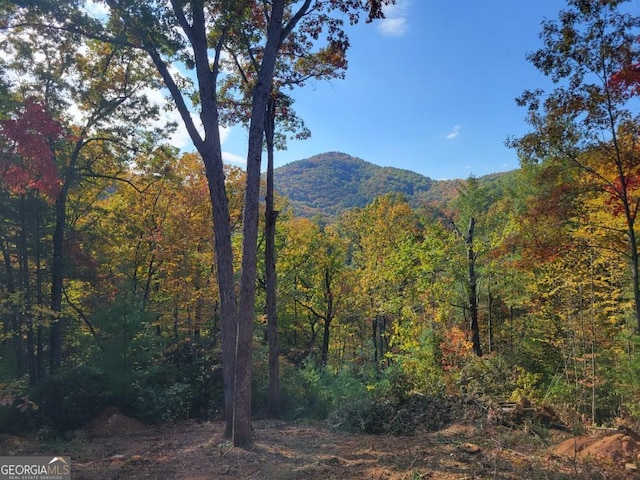 Listing photo 2 for LOT74 Mine Cart Trl, Blairsville GA 30512