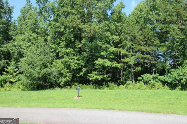 852 Rockhound Dr, Dahlonega GA, 30533 land for sale