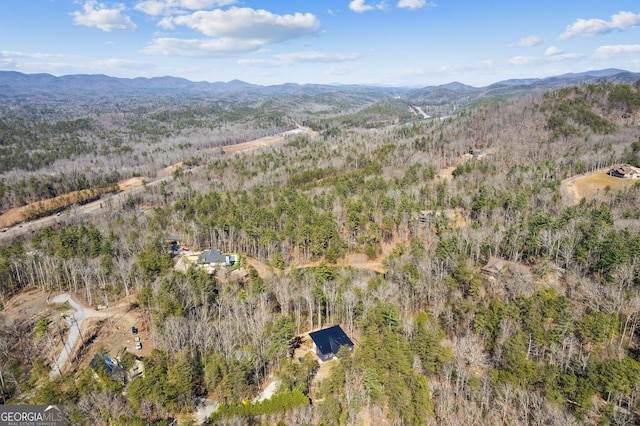 1713 Old Northcutt Rd Tr B, Unit Tr B, Ellijay, GA 30540 - aerial overview of property's location with mountains