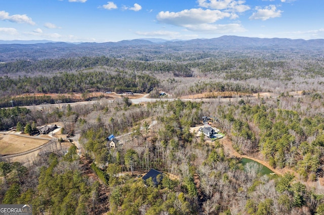 1713 Old Northcutt Rd Tr B, Unit Tr B, Ellijay, GA 30540 - aerial view of property's location with mountains