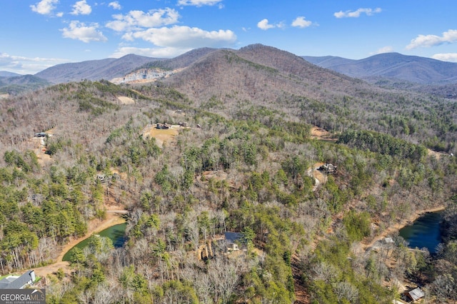 1713 Old Northcutt Rd Tr B, Unit Tr B, Ellijay, GA 30540 - view of mountain backdrop featuring a nearby body of water