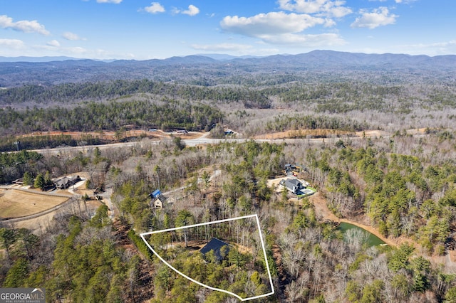 1713 Old Northcutt Rd Tr B, Unit Tr B, Ellijay, GA 30540 - aerial view of property and surrounding area featuring property parcel outlined and a mountain backdrop