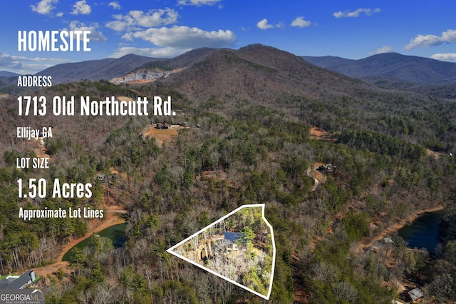 1713 Old Northcutt Rd Tr B, Unit Tr B, Ellijay, GA 30540 - view of mountain backdrop