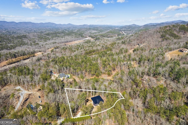 1713 Old Northcutt Rd Tr B, Unit Tr B, Ellijay, GA 30540 - aerial view of property's location with mountains and property boundaries highlighted