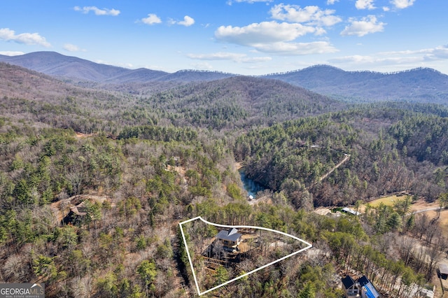 1713 Old Northcutt Rd Tr B, Unit Tr B, Ellijay, GA 30540 - aerial view of property's location featuring a heavily wooded area and property boundaries highlighted