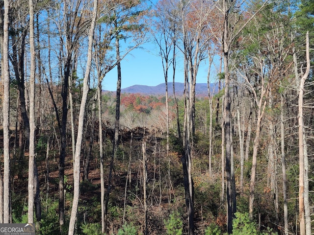 1713 Old Northcutt Rd Tr B, Unit Tr B, Ellijay, GA 30540 - mountain view