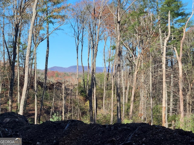 1713 Old Northcutt Rd Tr B, Unit Tr B, Ellijay, GA 30540 - view of mountain background