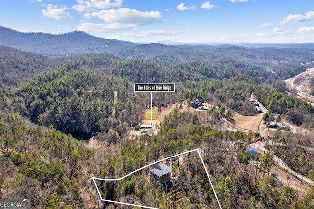 birds eye view of property featuring a forest view and a mountain view