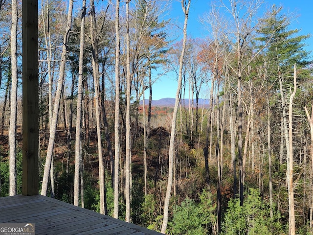 1713 Old Northcutt Rd Tr B, Unit Tr B, Ellijay, GA 30540 - water view
