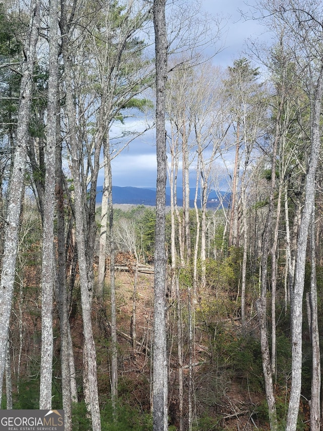 1713 Old Northcutt Rd Tr B, Unit Tr B, Ellijay, GA 30540 - water view