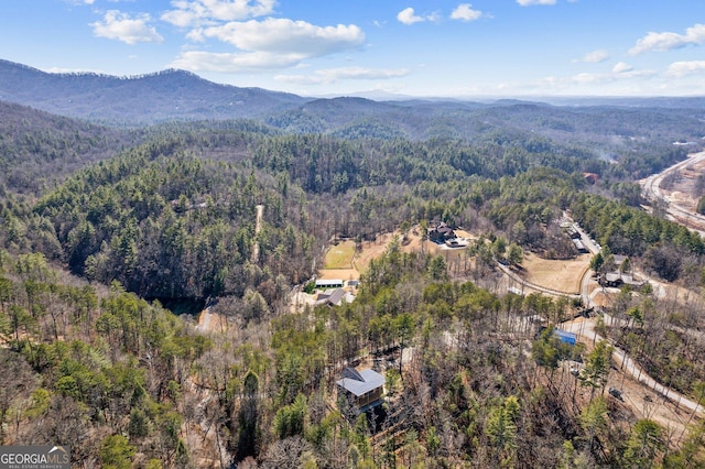 1713 Old Northcutt Rd Tr B, Unit Tr B, Ellijay, GA 30540 - aerial overview of property's location with a heavily wooded area and mountains