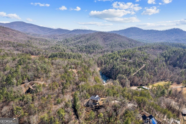 1713 Old Northcutt Rd Tr B, Unit Tr B, Ellijay, GA 30540 - mountain view featuring a forest