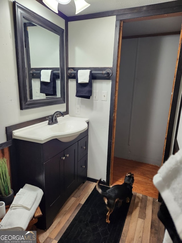 bathroom with vanity and hardwood / wood-style flooring