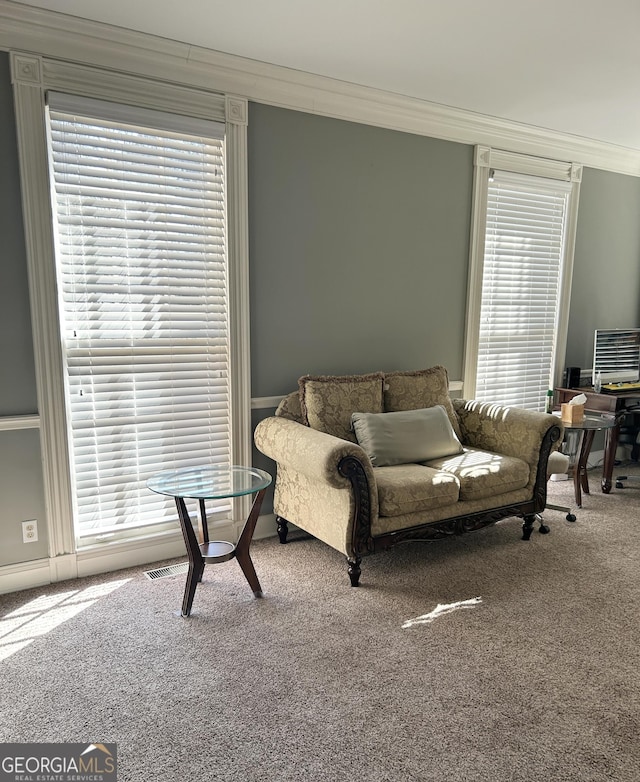 living area featuring crown molding and carpet