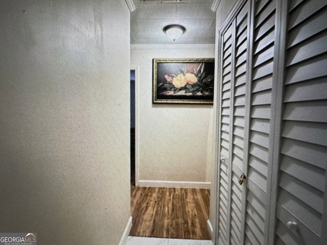 corridor featuring hardwood / wood-style floors