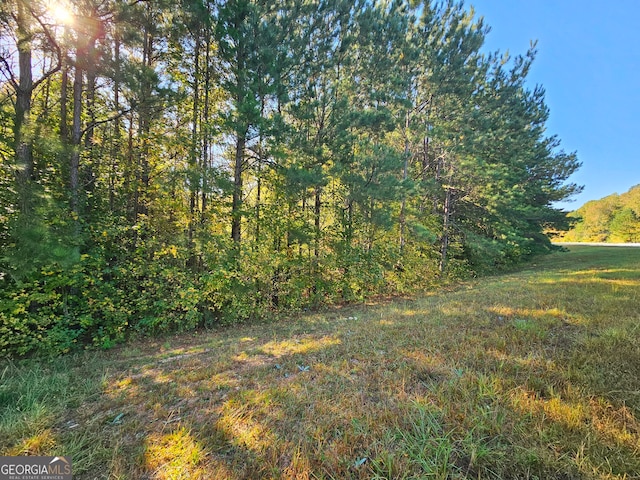 11520 US Highway 27, Franklin GA, 30217 land for sale