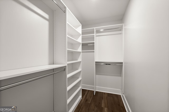 walk in closet featuring dark wood-type flooring