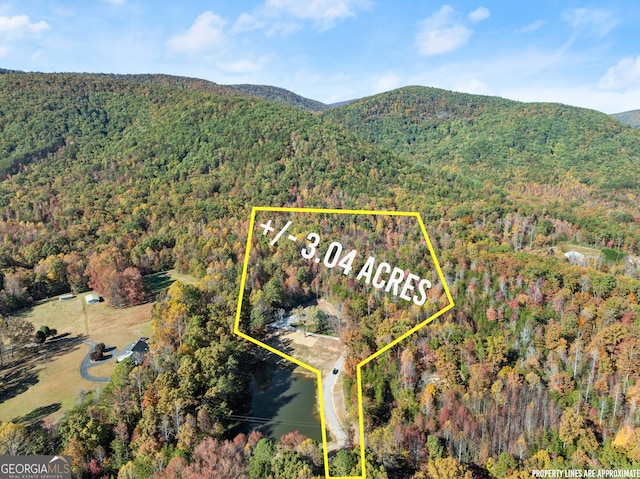 bird's eye view featuring a mountain view